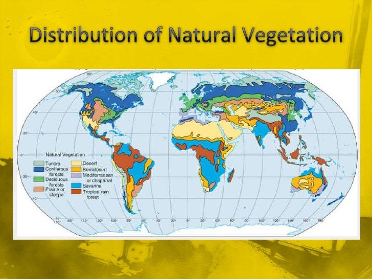 Natural Zones of the Earth Natural Zones of the Earth